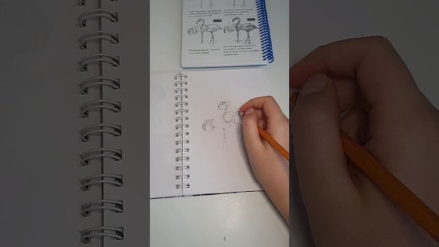 Рисуем фламинго карандашом?