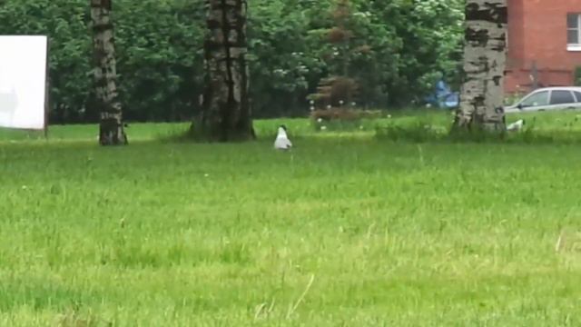 Последний день весны смотреть онлайн