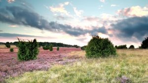 «Я полюбил другую» Собрав свои вещи, Люда молча протянула мужу конверт и сказала...