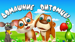 ДОМАШНИЕ  ПИТОМЦЫ + Видео про Животных + Карточки Домана + Обучающее Развивающие Видео Детям