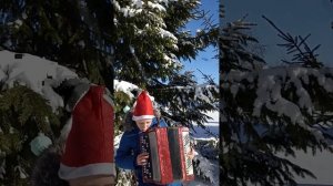,, Рождественские колокольчики " на баяне.,,Jingle bells"  на баяне в лесу