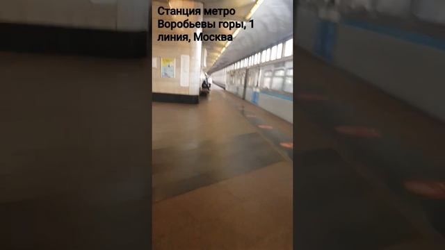 Станция Воробьевы горы, Москва