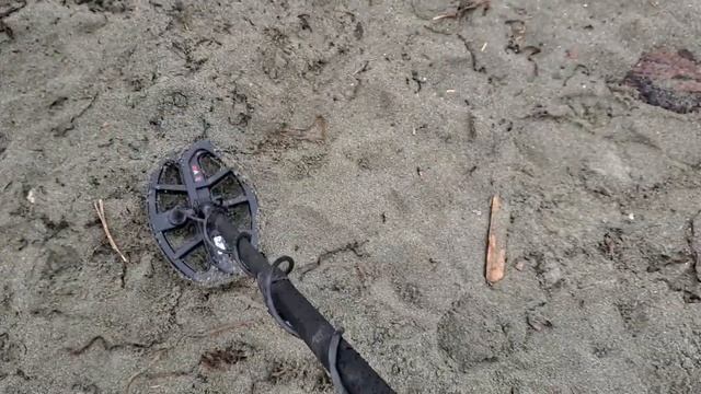 Saltwater Beach metal detecting vanquish 440 смотреть онлайн