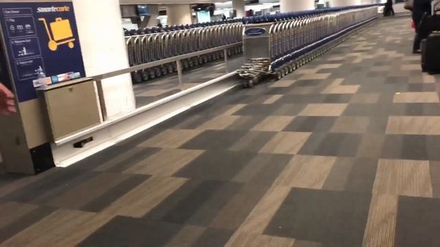 San Francisco International Airport Arrival Terminal смотреть онлайн