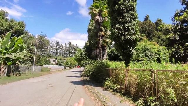 Абхазия 25 июля 2023 г. погода море Цитрусовый совхоз купец Игумнов смотреть онлайн