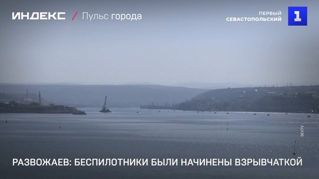 Развожаев беспилотники были начинены взрывчаткой