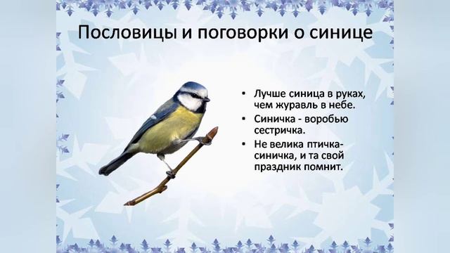 Занятие 24 "Синичкин день" смотреть онлайн