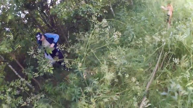 Что мы  нашли в лесу?   Красота грозового фронта  Жизнь в деревне