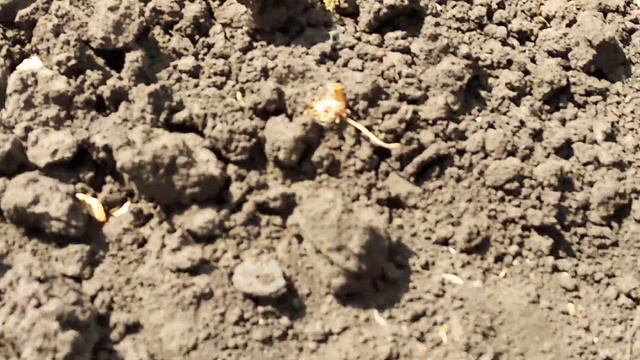 обзор нашей дачи первая часть смотреть онлайн