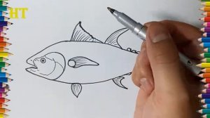 How to draw a Bluefin Tuna step by step - Fish drawing and coloring