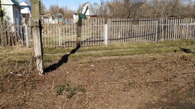 Дачный участок 11 апреля 2023 года смотреть онлайн