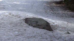 Гора Маура Вологодская область