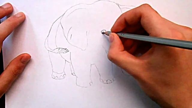 Видео: как нарисовать слона? смотреть онлайн