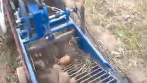 transportirovochnaya kartofelekopalka s aktivnym nozhom