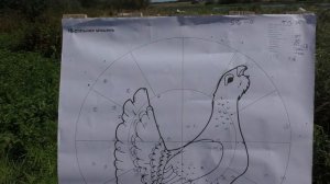 Дробь на утку? №4 Был удивлен!