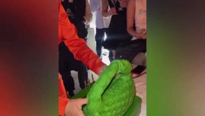 Инесса Шевчук с размахом отметила 28 день рождения 🎁