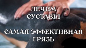 ГРЯЗЕЛЕЧЕБНИЦА ДОМА/ Сакские грязи для лечения позвоночника и суставов#народнаямедицина