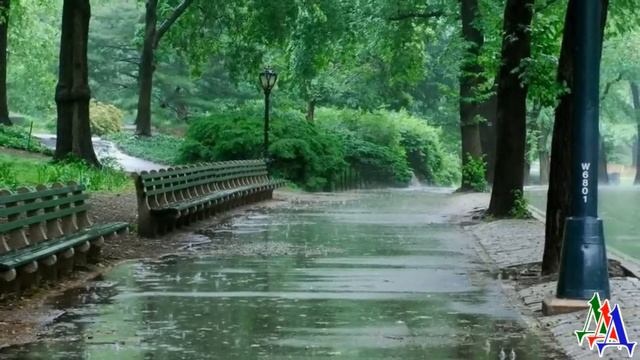 - Пойдём со мной, мурлыка, иначе тебя упекут в приют! – женщина смахнула слёзы и взяла кота на руки смотреть онлайн