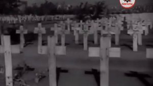 8 сентября 1943 года освобожден областной центр Сталино (сейчас Донецк) от фашистов