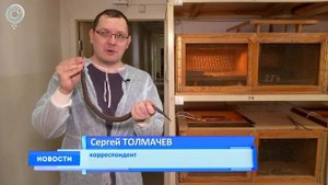 Единственный в России серпентарий отмечает юбилей