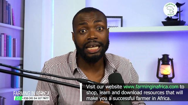HOW TO ORDER POULTRY BIRDS FROM HOLLAND, TURKEY, BELGIUM, IVORY COAST TO YOUR FARM IN AFRICA