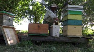 Объединение пчелосемей