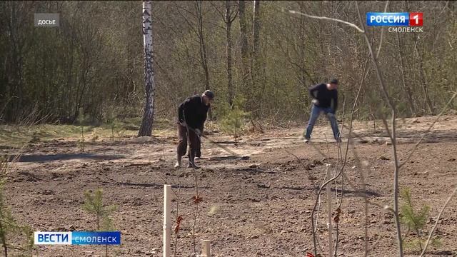 На Смоленщине высадят около 200 тысяч деревьев в рамках акции «Сад памяти»
