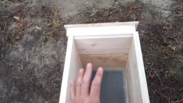 Улей из павловнии 25 ноября 2021 г. смотреть онлайн