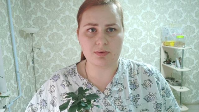 Я вернулась ✊ орховыставка, покупочки📦 смотреть онлайн