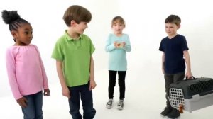 Academy Stars 1 | Unit 3: Language is use