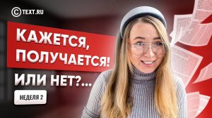 Эксперимент | Зарабатываю на бирже контента TEXT.RU | НЕДЕЛЯ 2