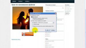 Как сделать ссылку на скачивание файлов в WordPress