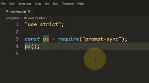 How to take User Input using Prompt Sync in JavaScript Node JS