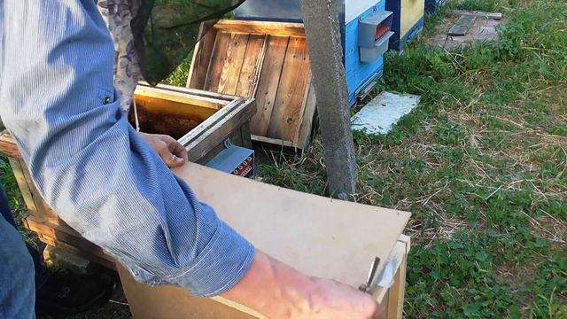 ПЧЕЛОПАКЕТЫ КАРПАТКА стоит ли покупать 2023 в Украине смотреть онлайн