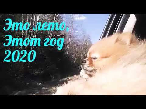 Это лето, Этот год 2020 смотреть онлайн