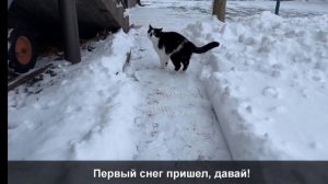 2 часть пою первый снег