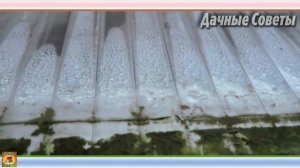 ВОТ ПОЧЕМУ этой осенью мы СНЕСЛИ ТЕПЛИЦУ из поликарбоната и строим новую Моя ДАЧНАЯ ИСТОРИ
