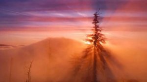 Удивительно красивая музыка - Джеймс Ласт "Жизнь прекрасна"   #Музыка