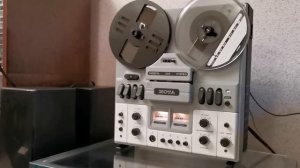 Нота 203 новый цвет