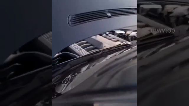 v12 bmw engine