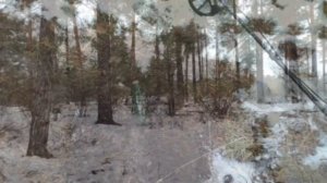 Зимний коп. Монеты прут как подснежники весной.