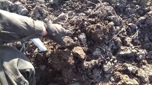 Нашли распаханный КЛАД? Тула богата на крупное и редкое Серебро! Тур от Серого Копателя день 1.