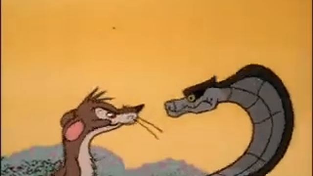 Rikki Tikki.