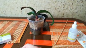 Смесь из препаратов для пробуждения и наращивания корней у орхидей