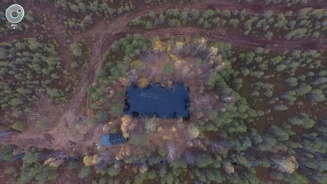 Сотрудники Университета Ньюкасла изучат углеродный цикл Васюганского болота в Сибири смотреть онлайн