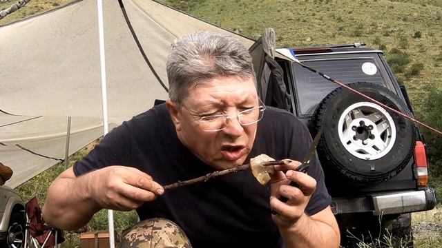 ПОТРЯСАЮЩИЕ Наскальные Рисунки в Казахстане , Алматинская область (Часть - 1) смотреть онлайн