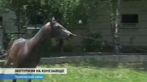 Великокняжеский конезавод. г. Пролетарск