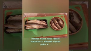 Рыбные ресурсы Чукотки - навага🐟
