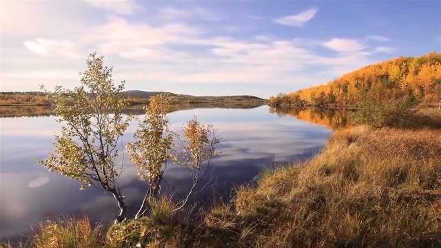 Мухаммад хазрат. Истинное почитание пророка. Курбан, обет 1/7 смотреть онлайн