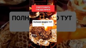 УНИЧТОЖИТЬ ГНЕЗДО ВРАГА #онлайн #ритуал #светланаведа #shorts